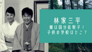 林家三平と嫁の国分佐智子と子供